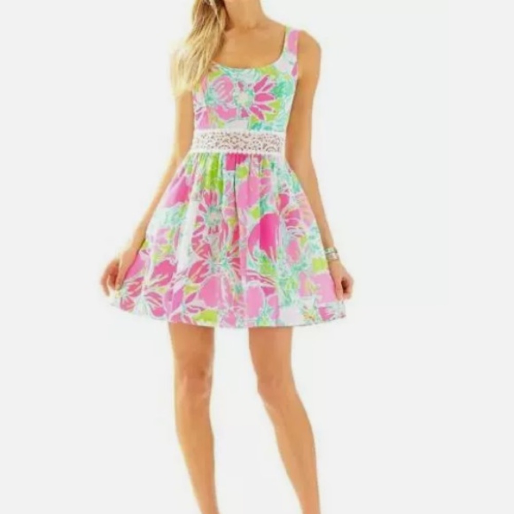 Lily Pulitzer Dress - Picture 5 of 6
